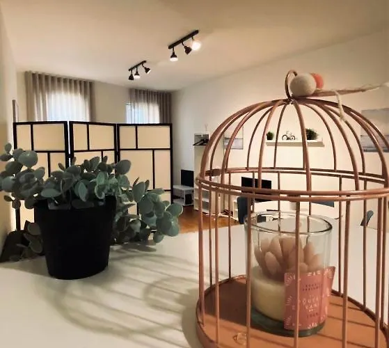 Clerigos B Centro Do *